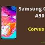 Install Corvus OS in Samsung Galaxy A50